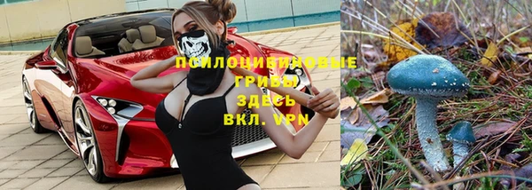 дживик Новокубанск