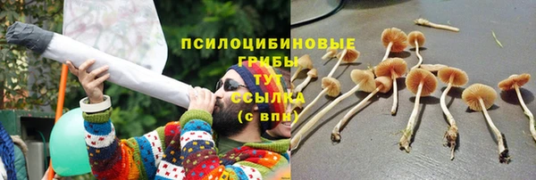 дурь Нефтекумск